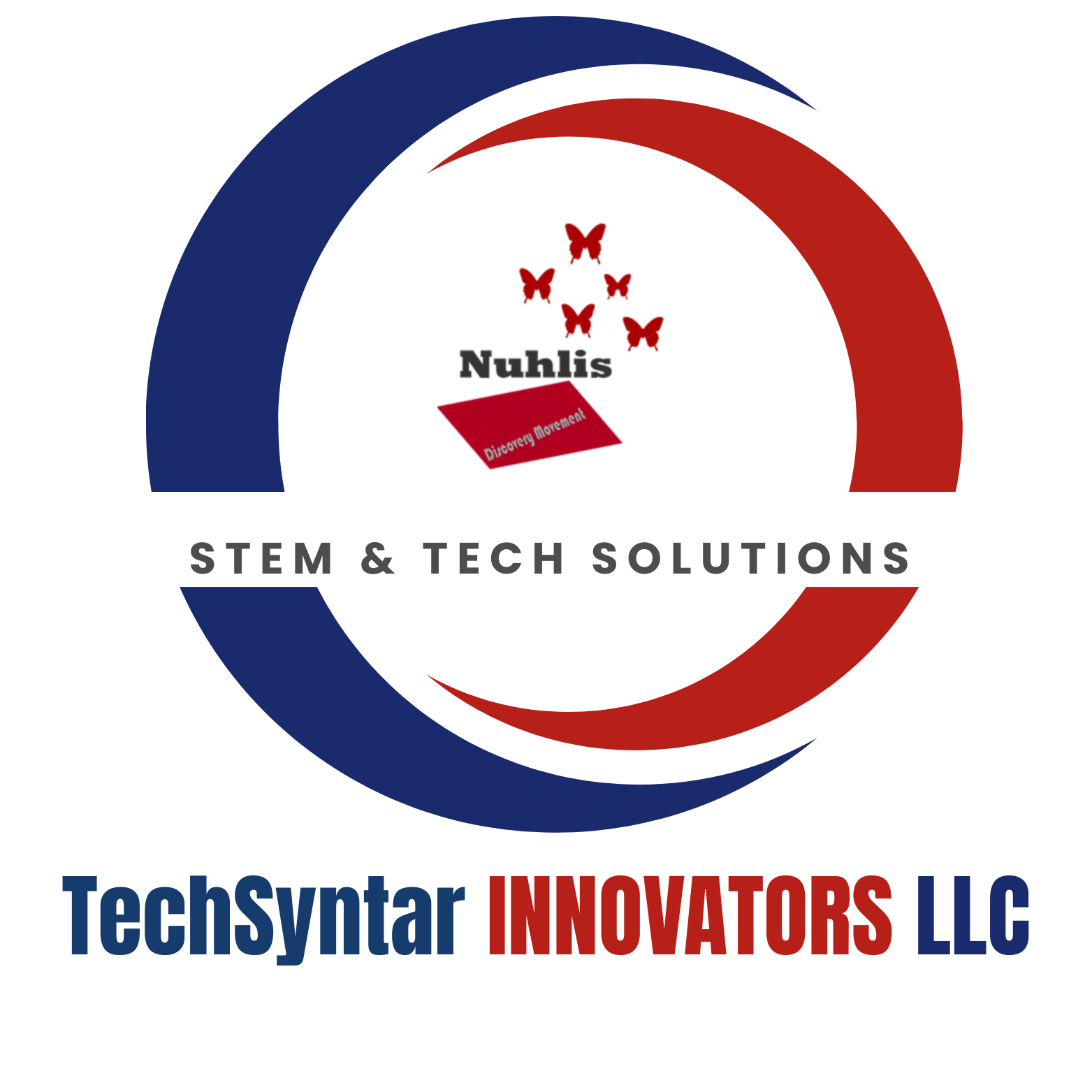 TechSyntar Innovators LLC logo